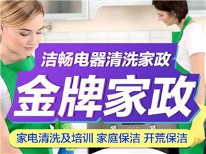 興國縣金牌家政 專業(yè)服務(wù)，品質(zhì)生活的可靠之選